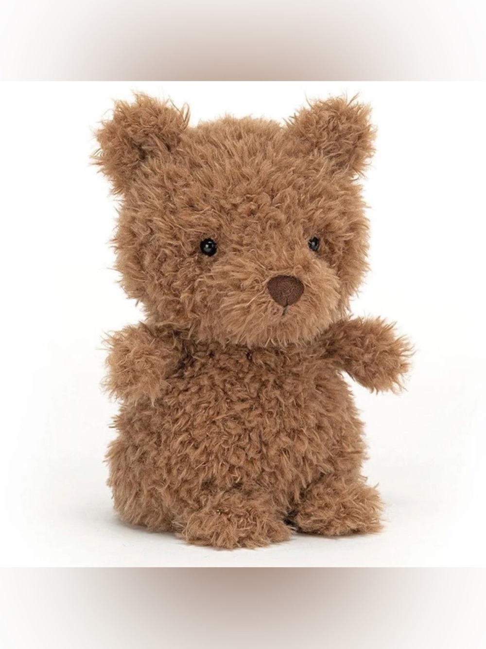 FIRM PRICE NWT JELLYCAT LITTLE BEAR